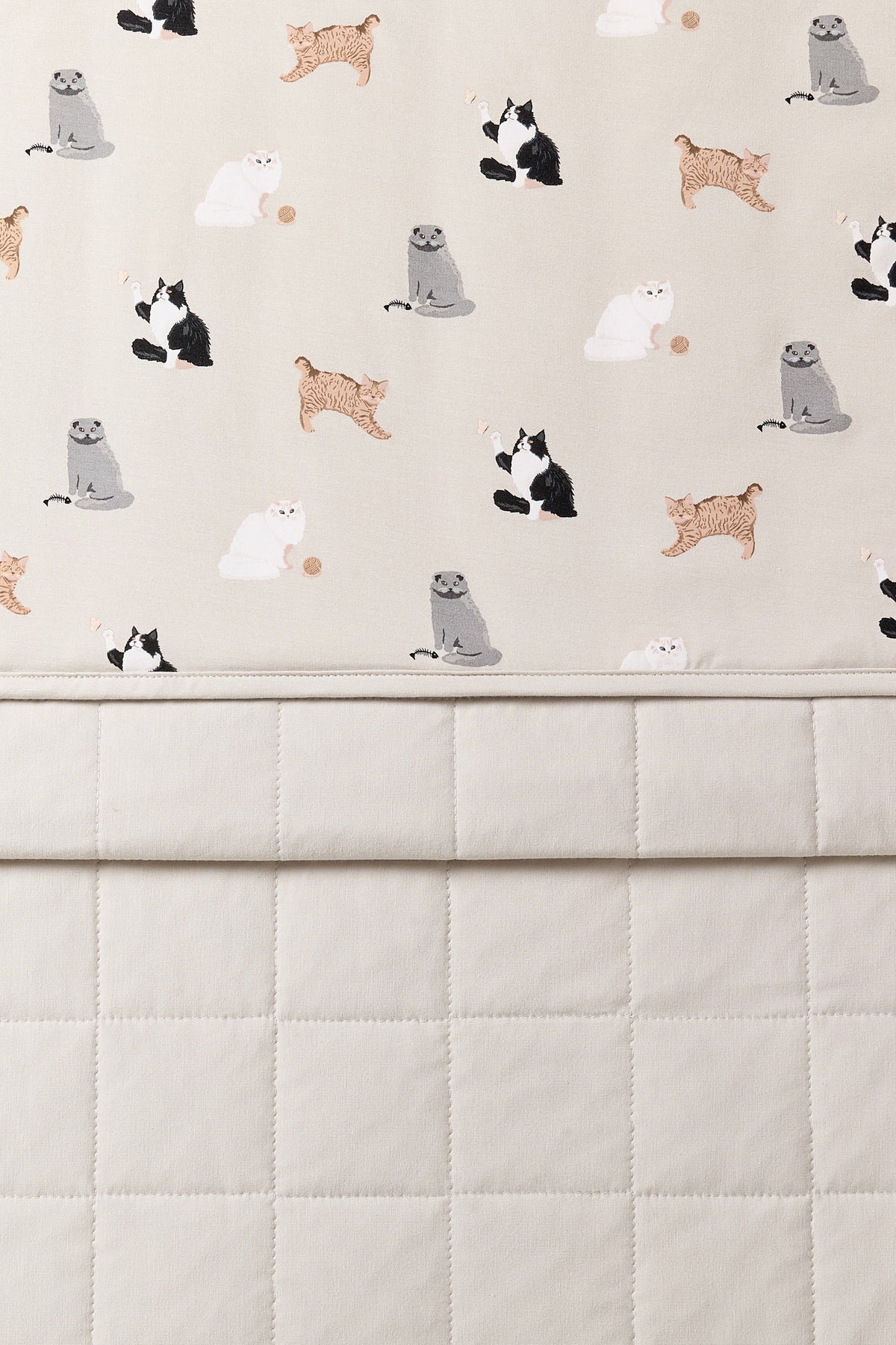 Baby Blanket in Fluffy Cat