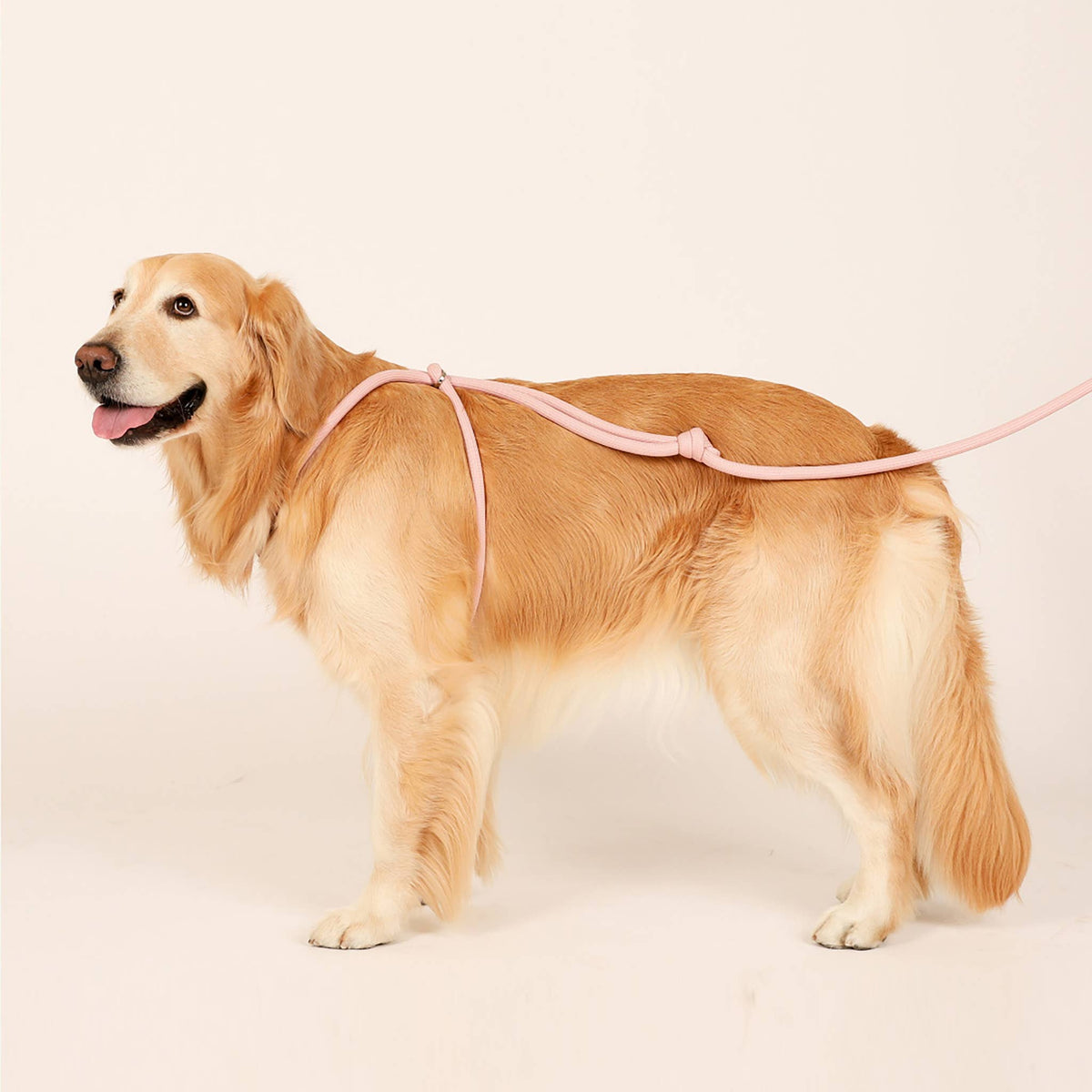 Hozi - All-in-one Harness : Pink