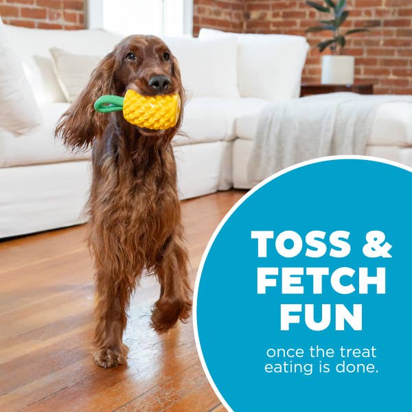 Planet Dog Dental Pineapple Dog Chew Toy Yellow