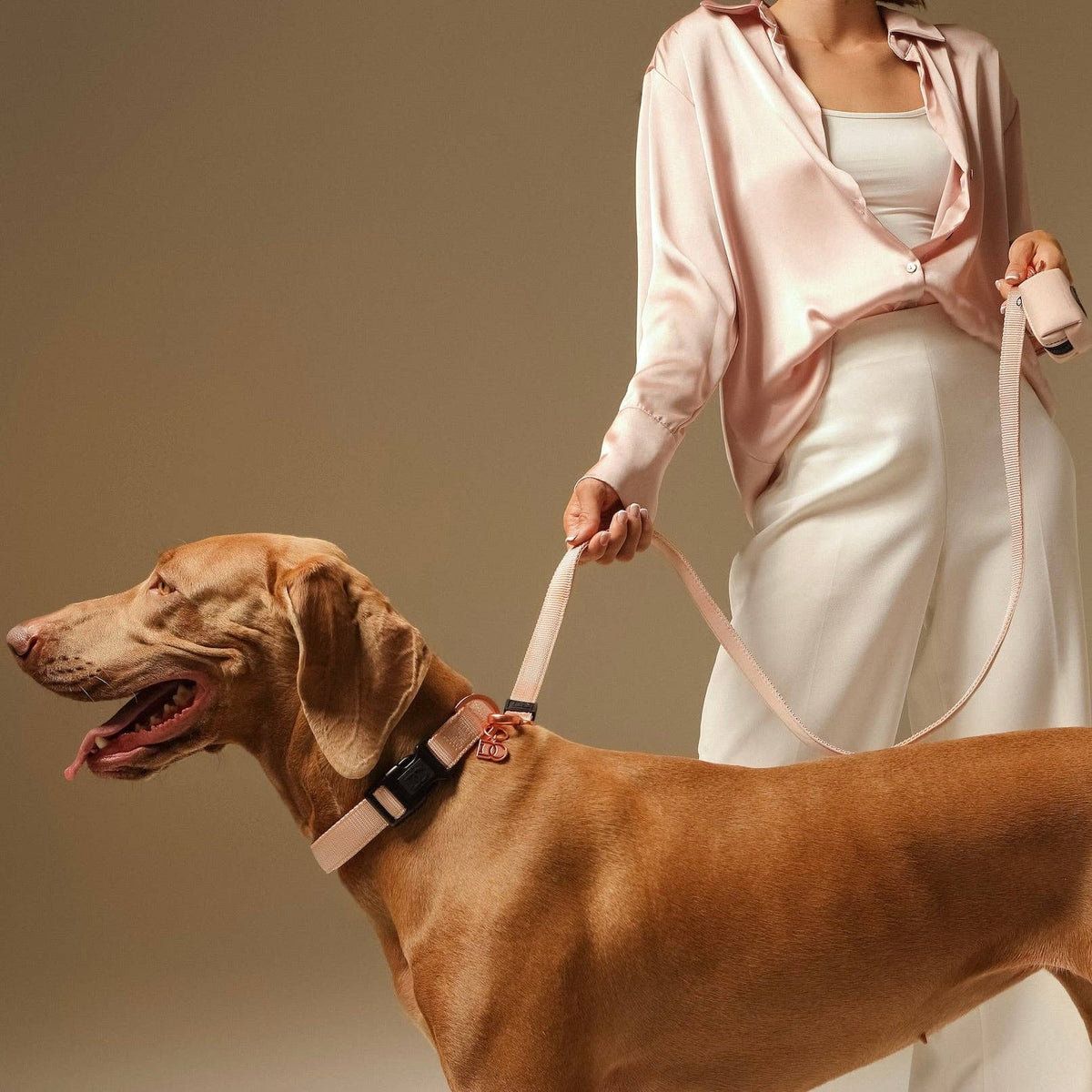 Doodle Couture, New York - Secure-In-Place Dog Leash - Blush