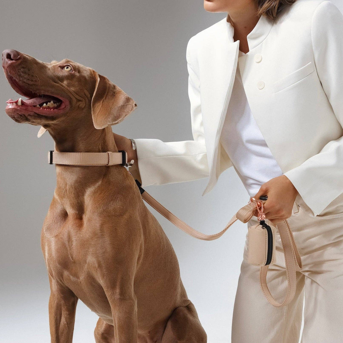 Doodle Couture, New York - Secure-In-Place Dog Leash - Dune