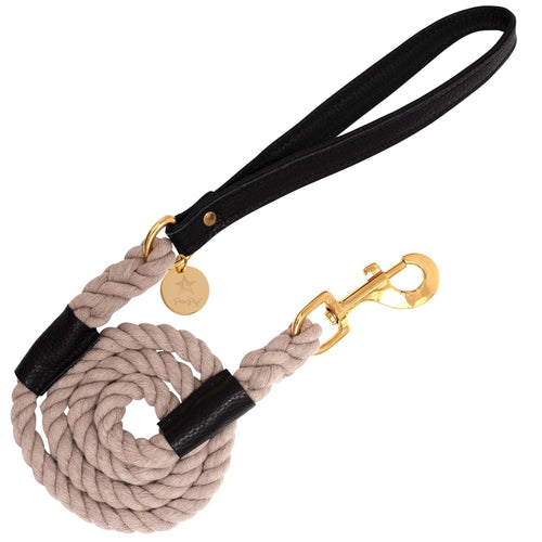 PoisePup - LEASH - DARK NIGHT
