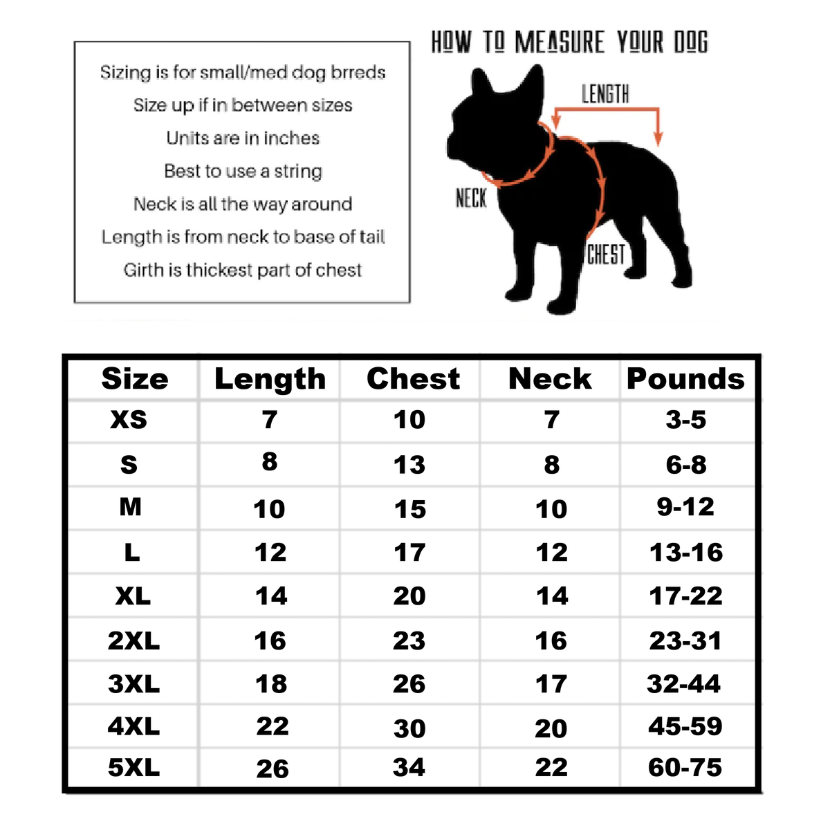 Miami Beach Dog Sport Tank