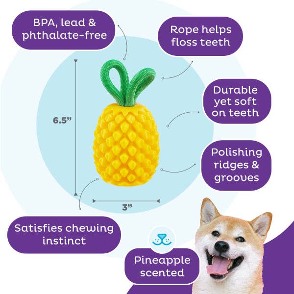 Planet Dog Dental Pineapple Dog Chew Toy Yellow