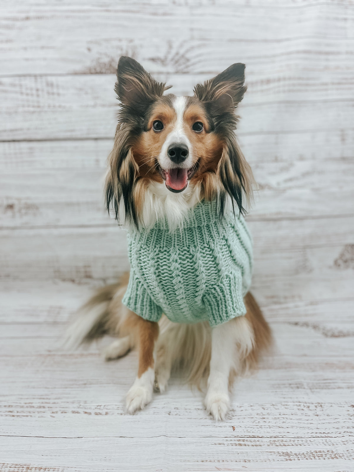 Pet Cable Knit Sweater - Mint