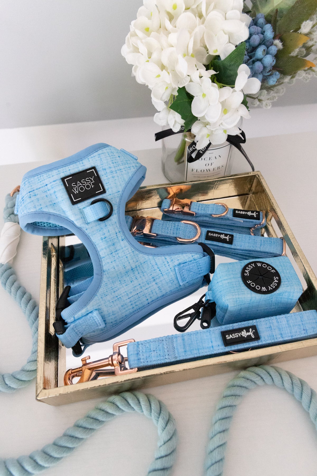 Dog Two Piece Bundle - Blumond