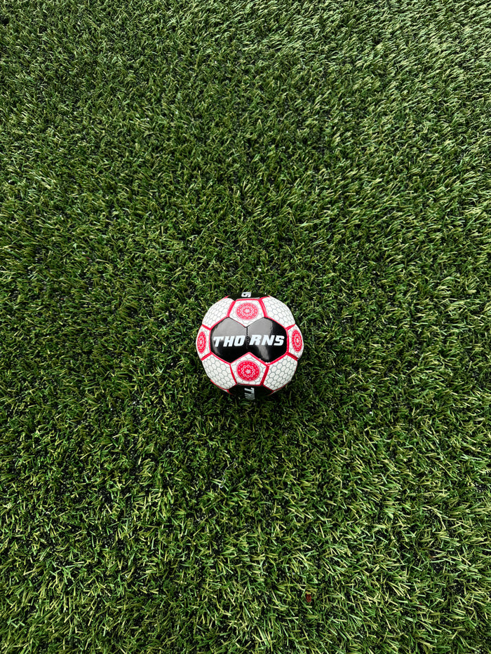 PORTLAND THORNS FC 2024 MINI BALL