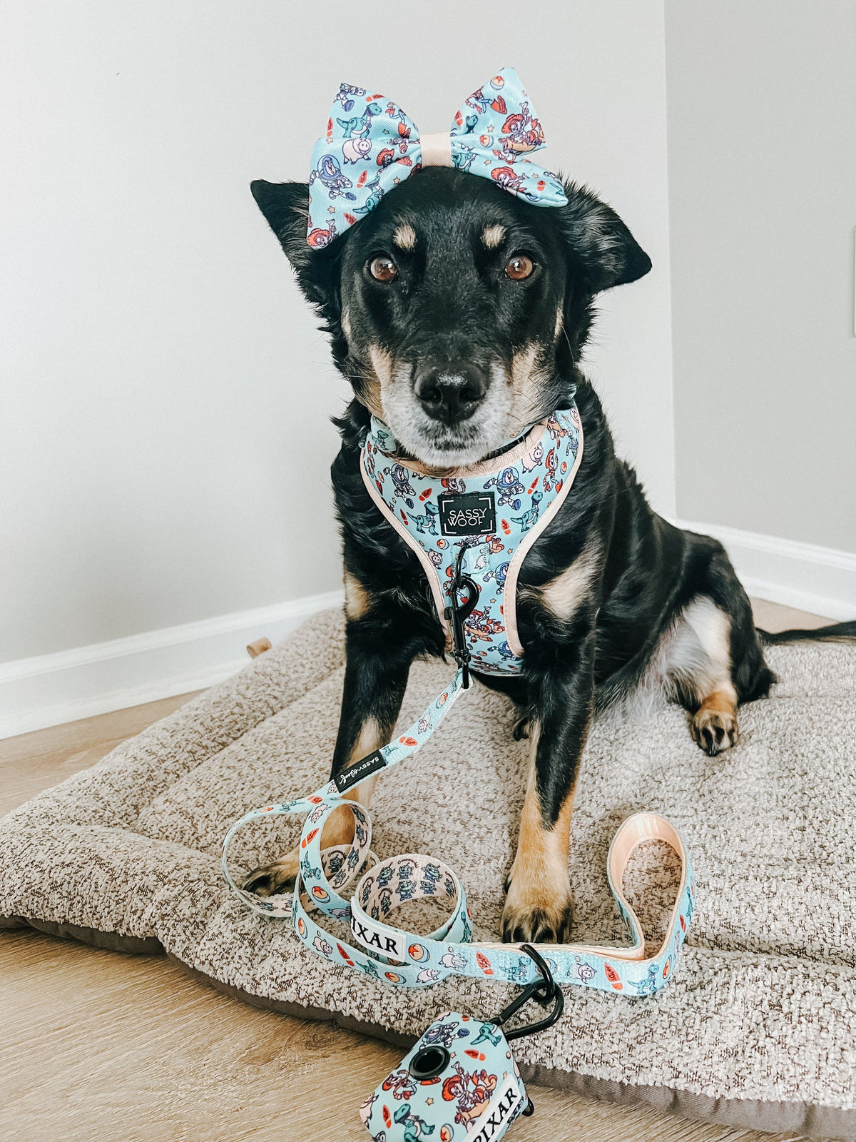 Dog Sailor Bow - Disney and Pixar's Toy Story