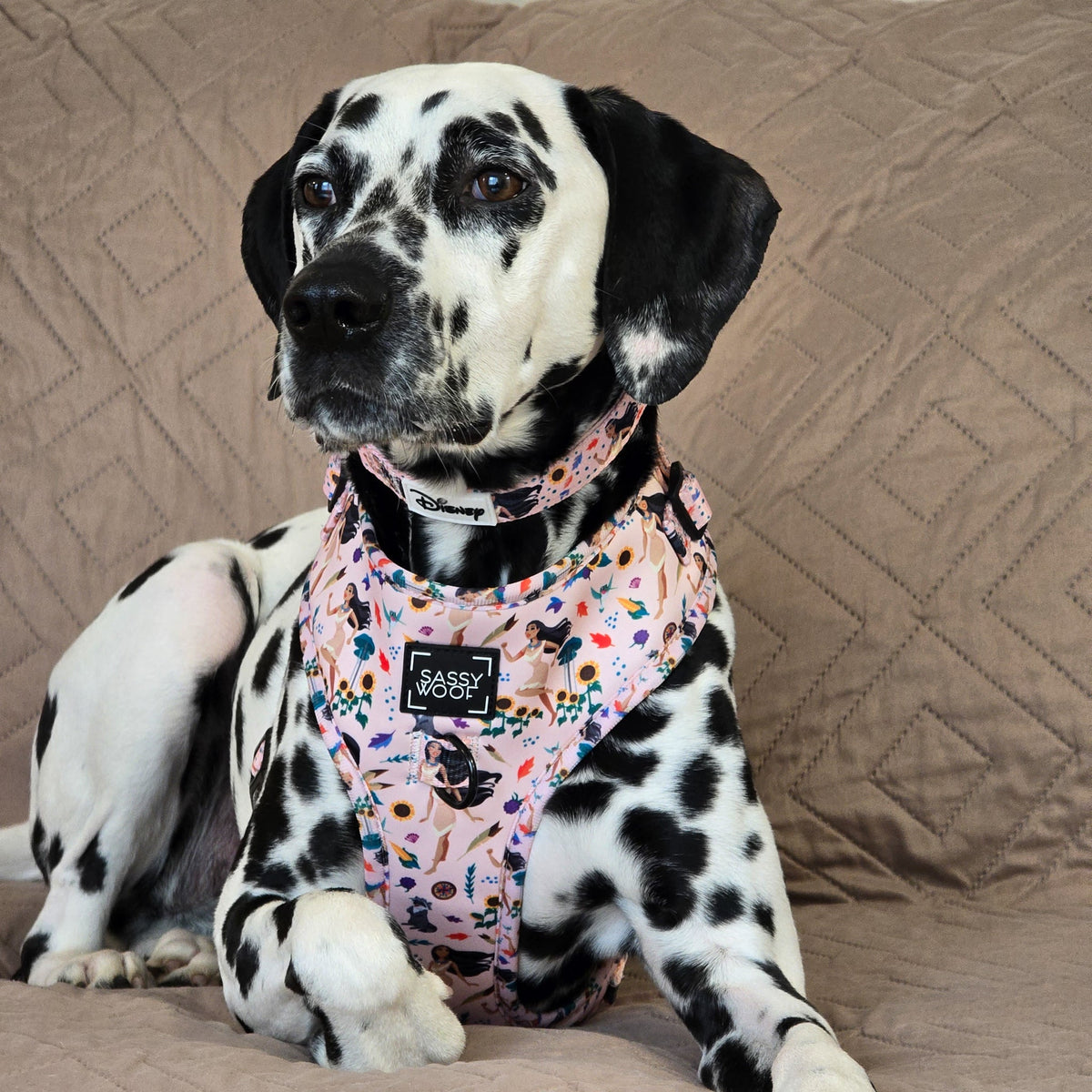 Harness Three Piece Bundle - Disney's Pocahontas