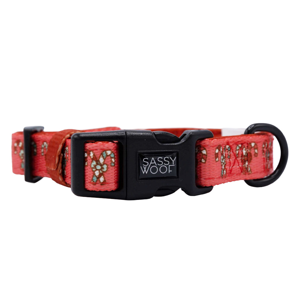 Dog Collar - Puppermint Twist