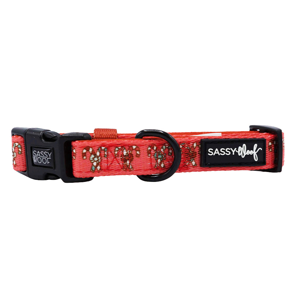 Dog Collar - Puppermint Twist