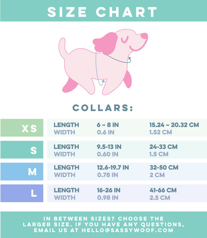 Dog Collar - Disney and Pixar's Up