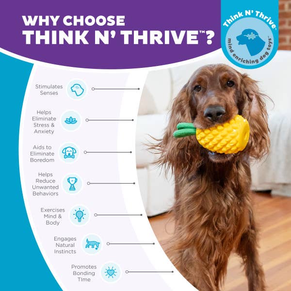 Planet Dog Dental Pineapple Dog Chew Toy Yellow