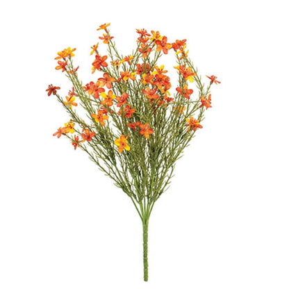 Bittersweet Star Flower Bush