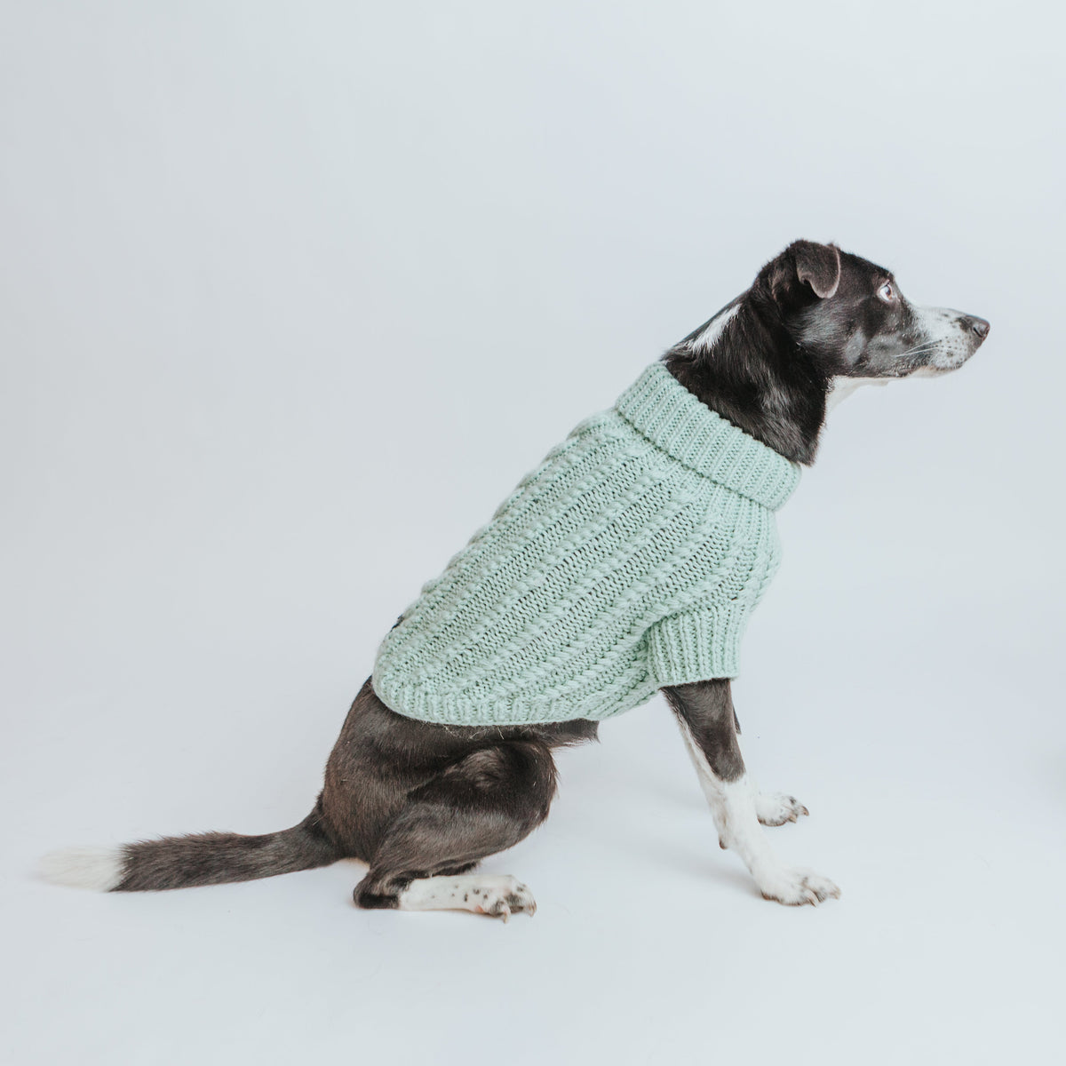 Pet Cable Knit Sweater - Mint