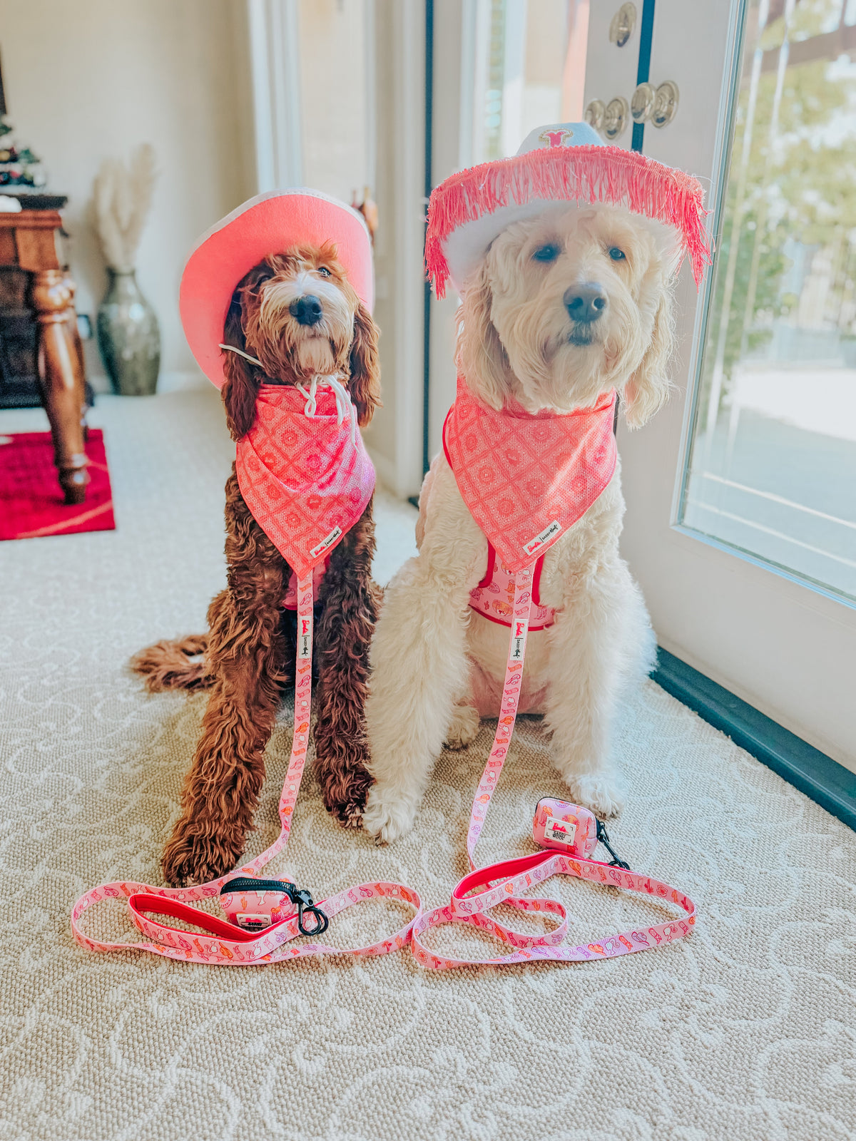 Dog Bandana - Western Barbie™