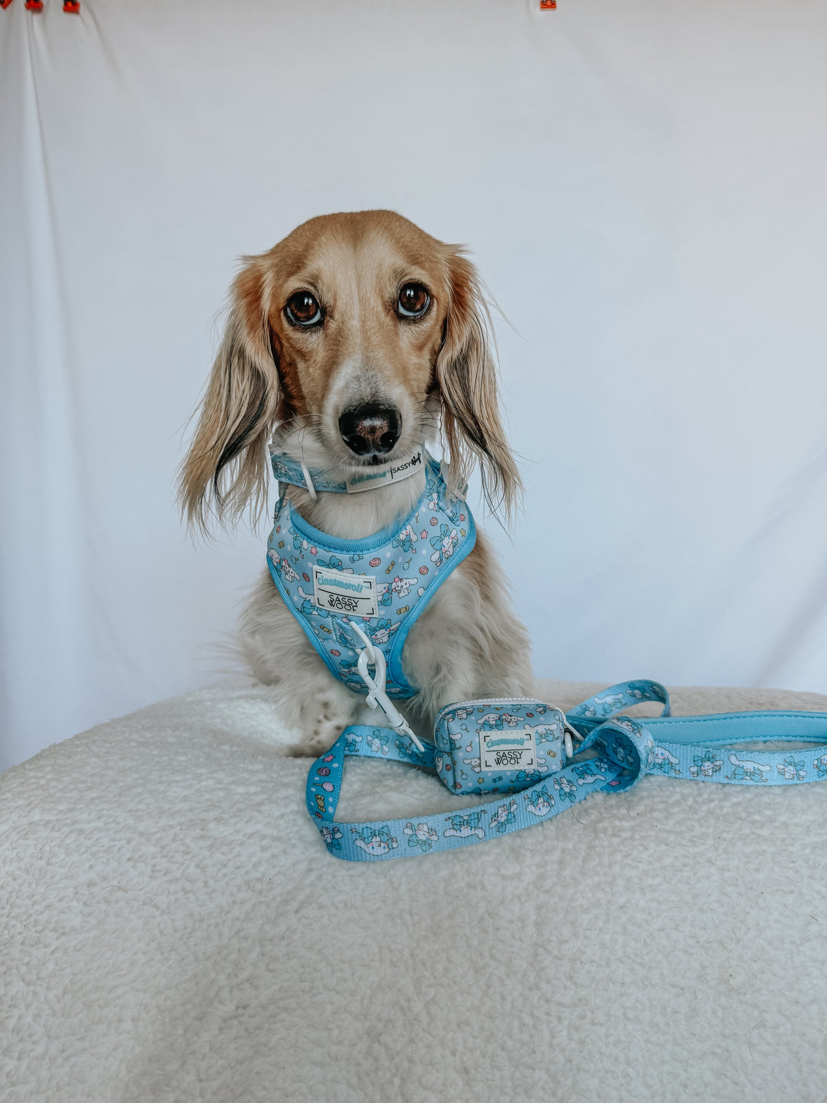 Dog Adjustable Harness - Cinnamoroll™