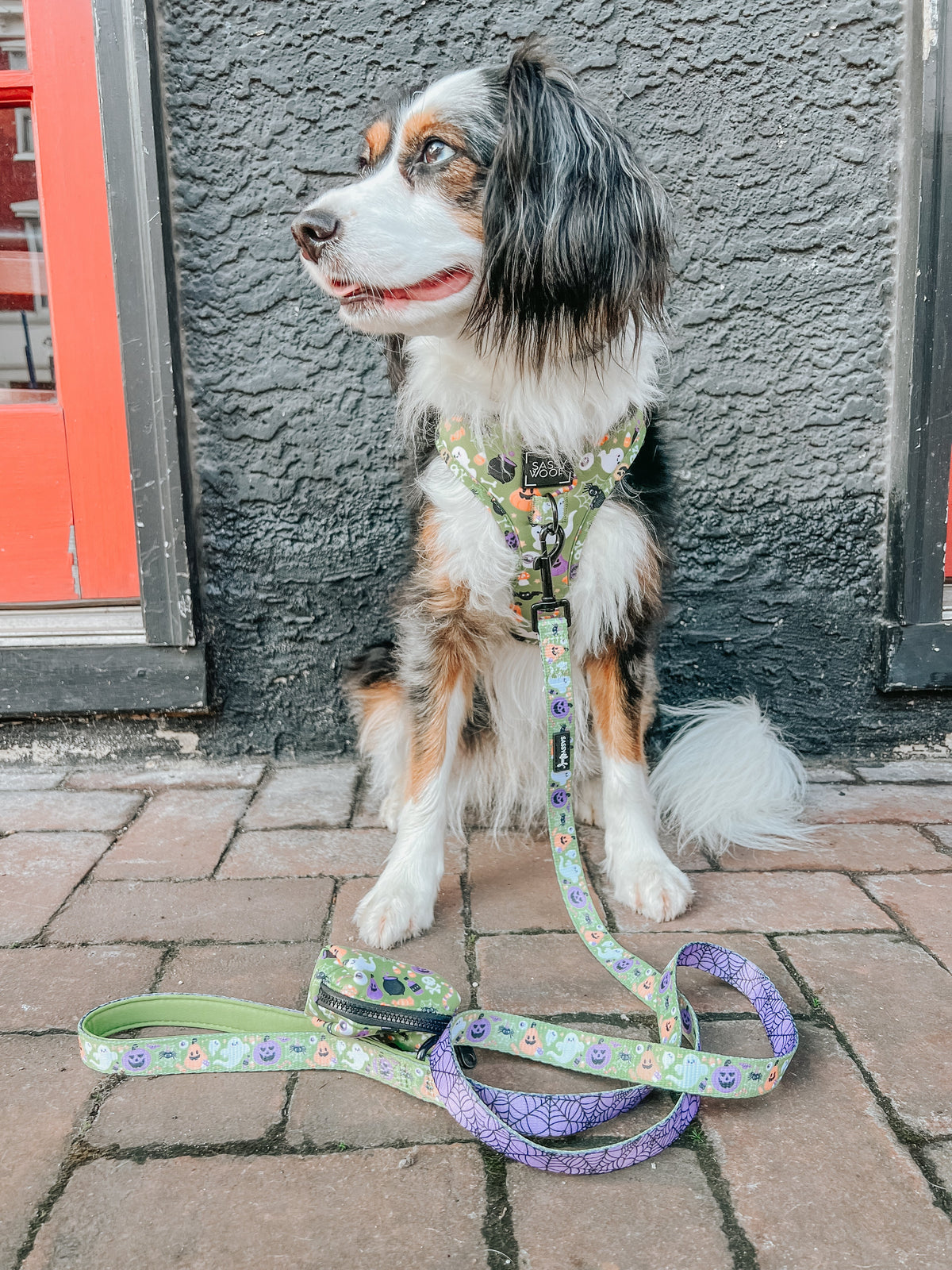 Dog Waste Bag Holder - Haunt Mess