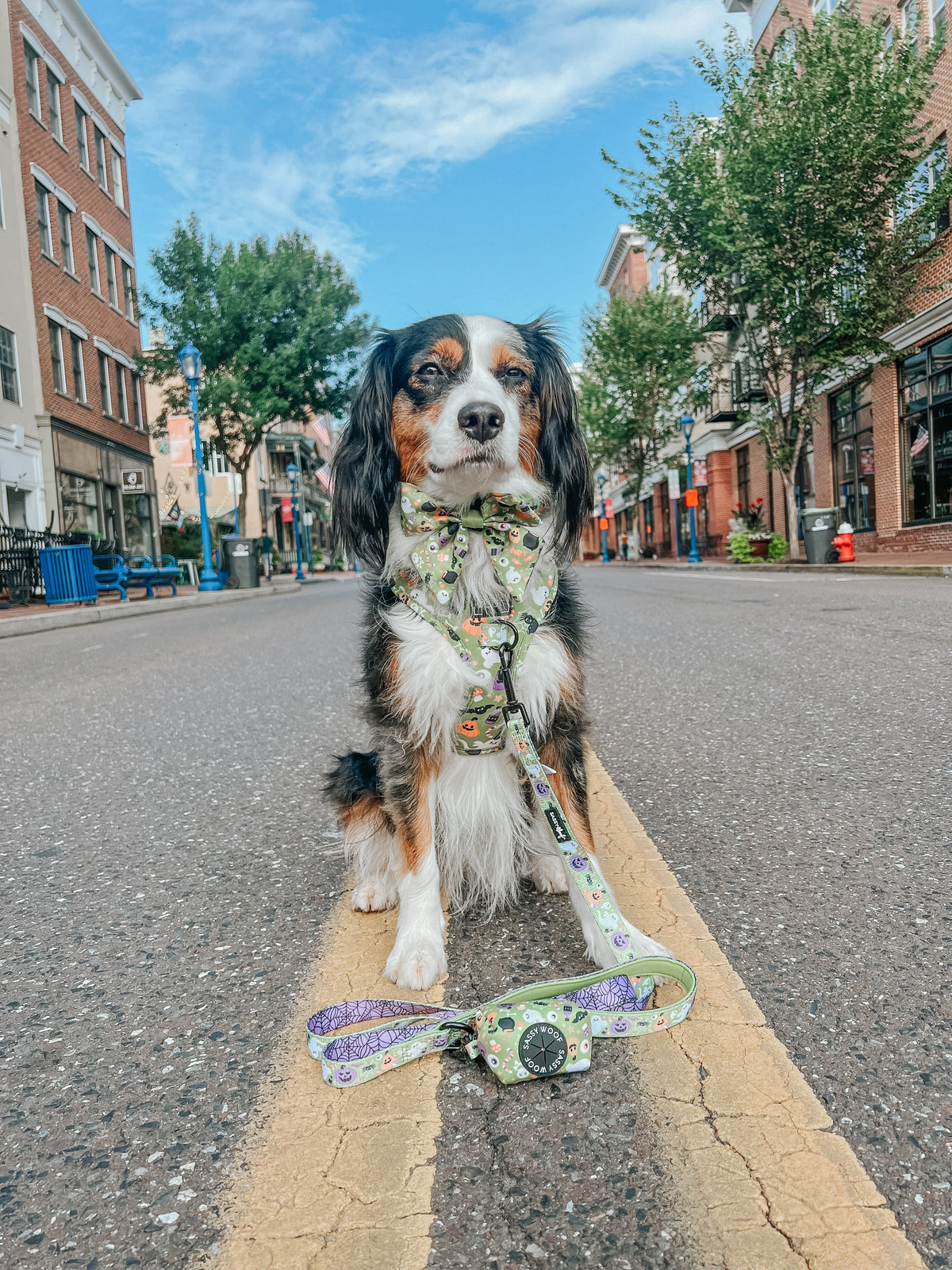 Dog Waste Bag Holder - Haunt Mess
