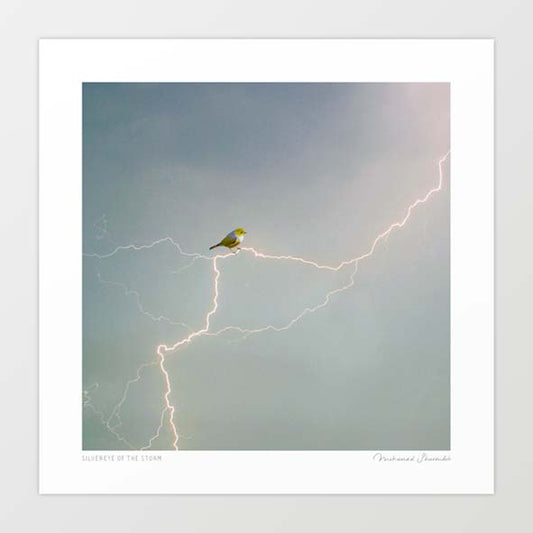 Surreal art print of a silvereye bird perched on lightning bolts against a dramatic stormy sky — minimalist bird wall art