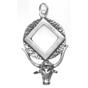 tsg802- Silver, Longhorn w/ NA Symbol CLEARANCE